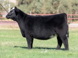 lot 2