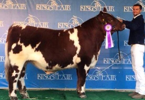 Supreme champ kings fair official